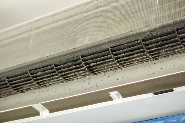 Best Duct Cleaning for Offices  in San Augustine, TX